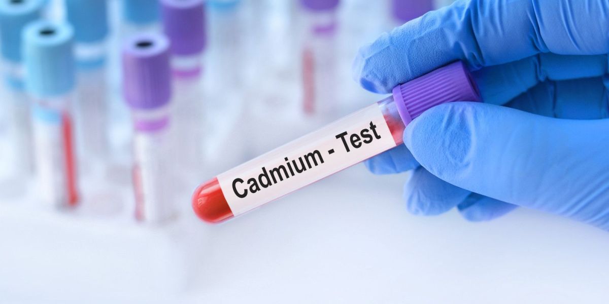 Cadmium : le dernier scandale de santé publique ? Que faut-il savoir ?